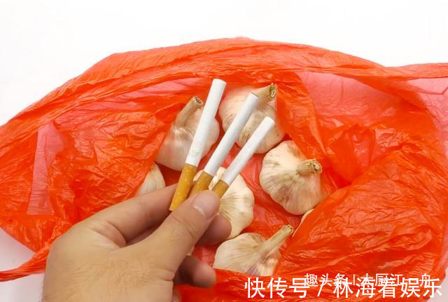 小苏打|原来保存大蒜这么简单，教你5招保存方法，大蒜放一年不发芽