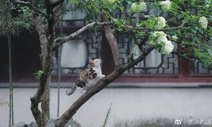 春风正暖，周末何不来一场春日邂逅～