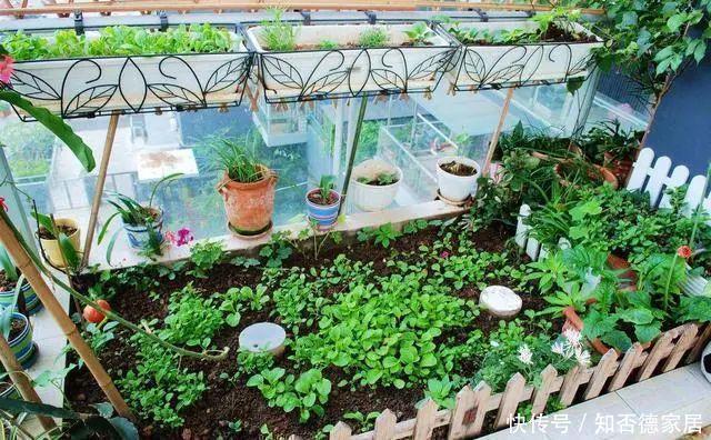 阳台上|原来阳台还可以这样设计，功能多又漂亮，进门就让人眼前一亮