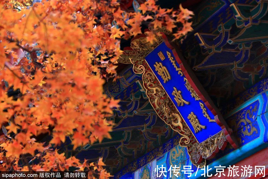 京西稻|秋游首站!北京“小镰仓”漫画电车站,车票仅3元!