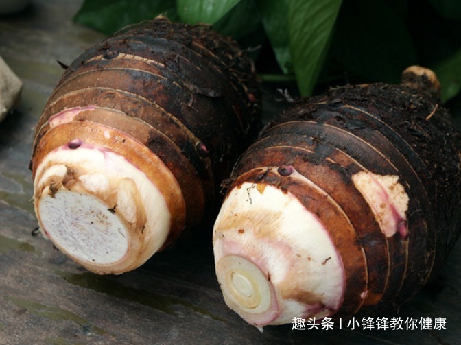 食物|长寿老人爱吃的此种食物,保护牙齿、解毒消肿,早知早受益