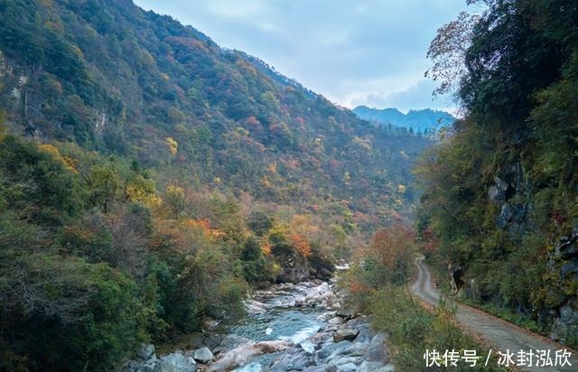 秘境|媲美光雾山！平武这条沟，藏着一个惊艳的彩林秘境！