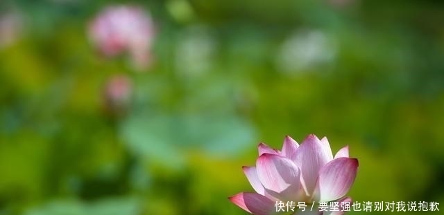 会发现|人生,慢慢地,才最美