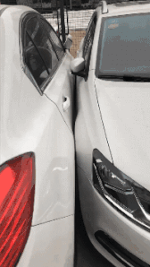 |搞笑GIF:放了我和我的孩子,今后我定会报答你