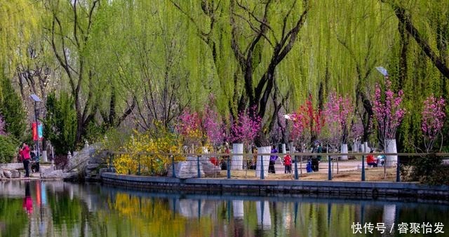 走，带上家人去野餐！《济南春日野餐指南》请收好！