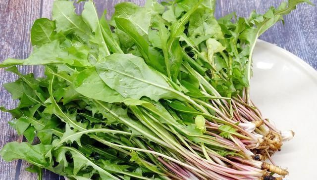 皮肤|蒲公英和它很“般配”，坚持泡水喝，排肝毒降肝火，皮肤也变好了