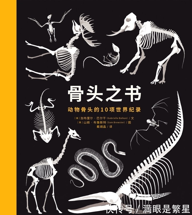 骨头之书&一本很有“骨气”的大书,帅气地告诉你10项世界之最