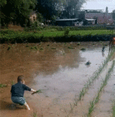 |搞笑GIF:带女朋友去动物园 我感觉好像被骗了