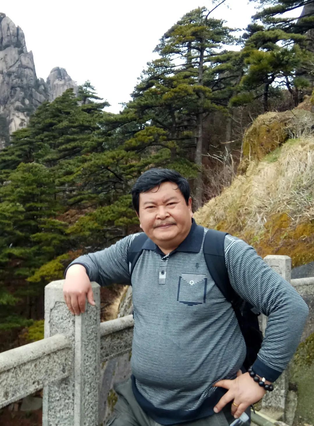 「陈锋」|丹青追梦 水墨本色-中国当代书画名家个人云展览