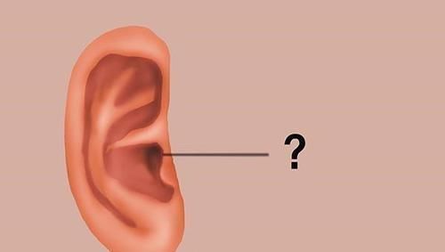 耳朵脱皮是什么原因引起的