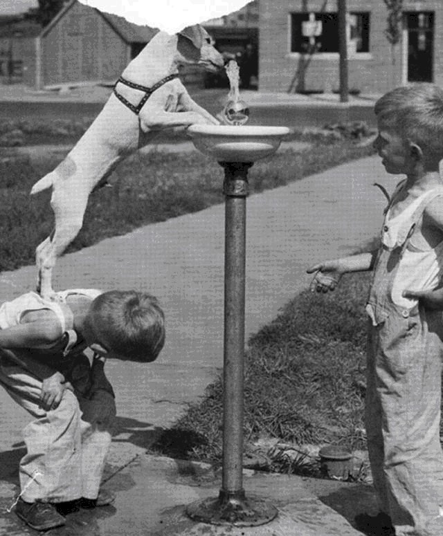 ps|29张没有ps的历史照片,看完第1张就泪奔了………