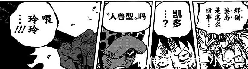 四皇|海贼王:CP0认为路飞会输,凯多人兽形态满身鳞片