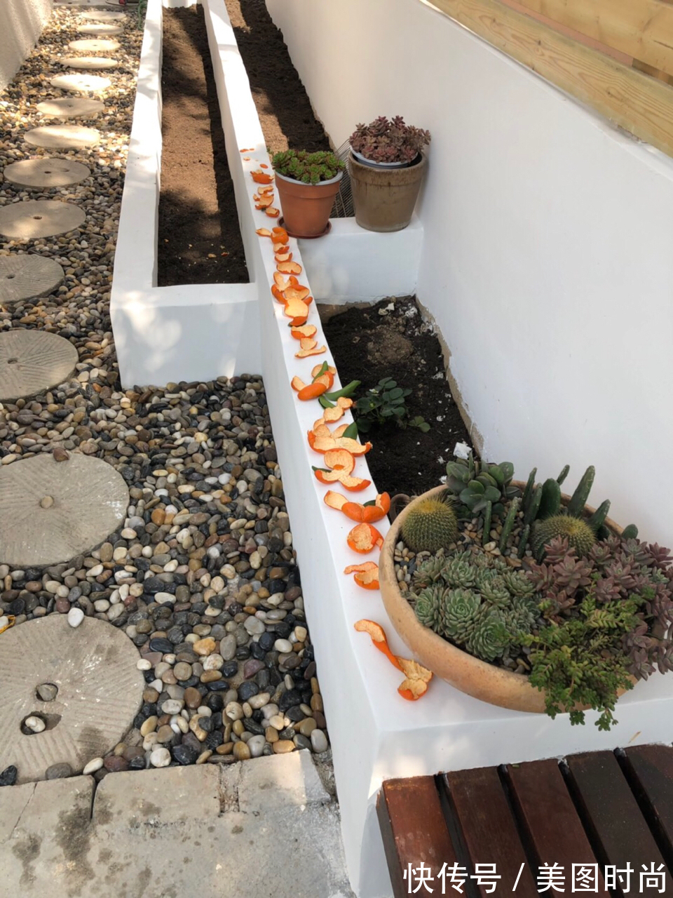 预算8万,改造170㎡别墅“沙漠植物懒人花园”,太好看了