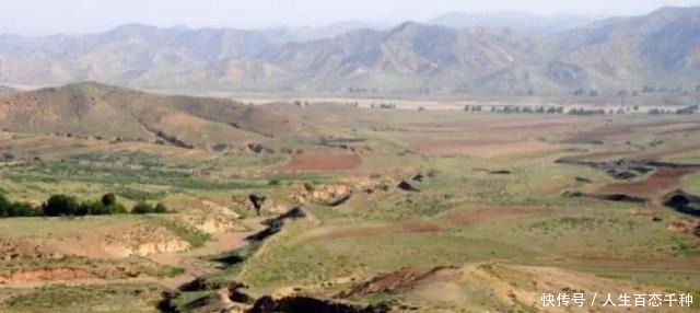 金朝|金朝把大宋打得节节败退，为何还要耗费国力建两千公里的金长城