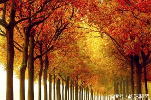 古典君|断鸿渺渺空银海,疏雨潇潇满玉楼;八首七律诗,已是天凉好个秋