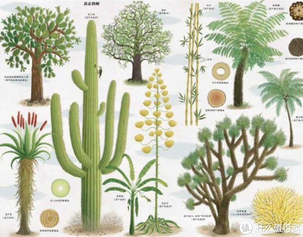  浪花朵朵|这个宝藏童书品牌你买过吗？科普、人文、自然、语言、逻辑全都有！