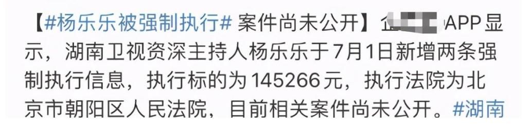 汪涵|當年的主持一姐墮落如斯？因14萬被強執行，楊樂樂回應：正在處理