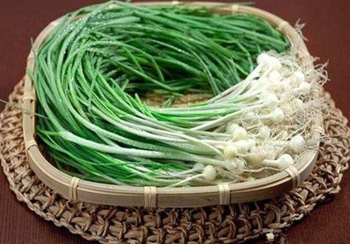 牙龈肿胀出血|秋天不能缺的3种野菜,益精气、清热除渴、解劳乏、清心明目