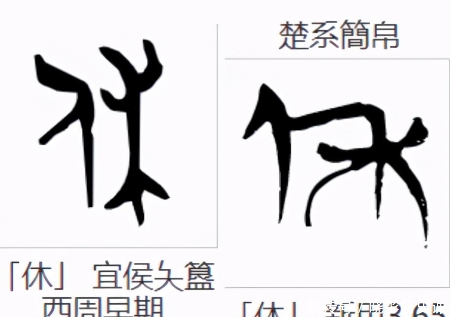 书法|初学隶书的基本功:从一个多余的点画说起