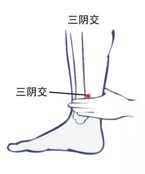 水谷精微|国医大师养生有十大秘决！人人都能学会