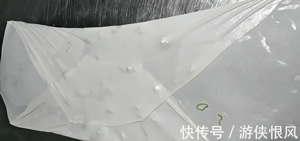 超薄葱花饼的做法，掌握以下3个技巧，担保焦香诱人嘎嘣香脆