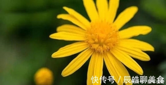 遗传病|七岁宝宝得了这种怪病,却不哭不闹帮妈妈照顾弟妹,疼痛时想睡觉