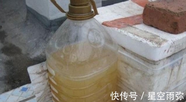 废物肥|用这2样“废物肥”养花,家人再不嫌弃我败家了