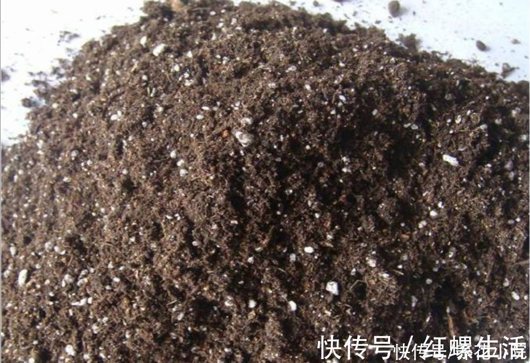 松软|营养土不用买，几种材料掺一起，养分充足又松软，适合养各种花