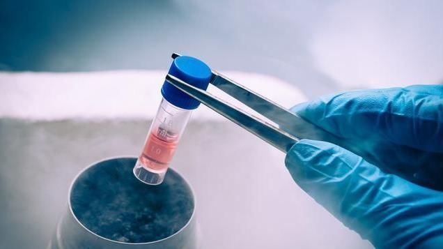 卷心菜|胃不好的人放心，幽门螺杆菌其实不难除，只是需要注意3点