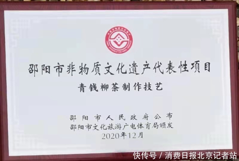 青钱柳茶|非遗青钱柳 打开脱贫“锁”