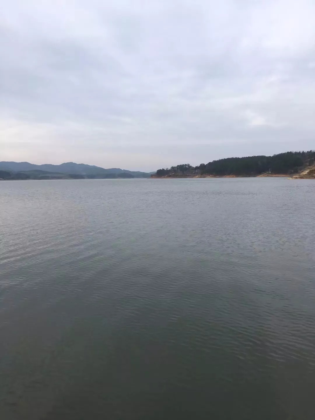 大水域|冬钓鲫,想上鱼就一定要避开这三种钓位!