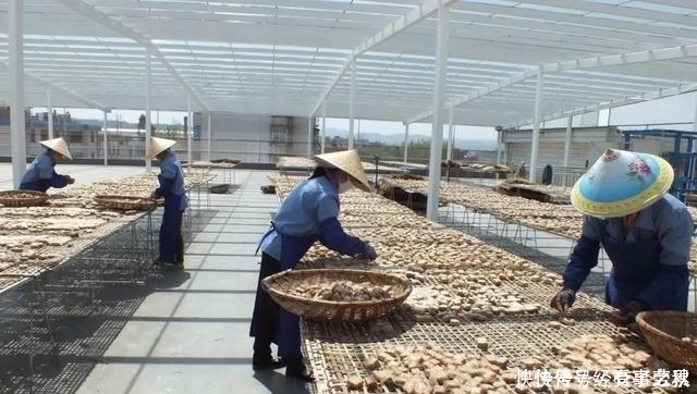 腐乳|中国的四大“腐乳”,竟连王致和腐乳都排不上榜,你吃过哪一种