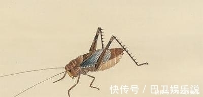 蝮虫&山海经:有多少神奇的虫子,能吃吗?为何人也算也是虫子的一种?