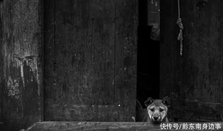 侗乡|情系侗乡访侗年