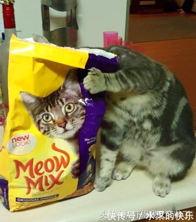 |开心一刻笑话:我公司女同事,长得白白嫩嫩,人高马大