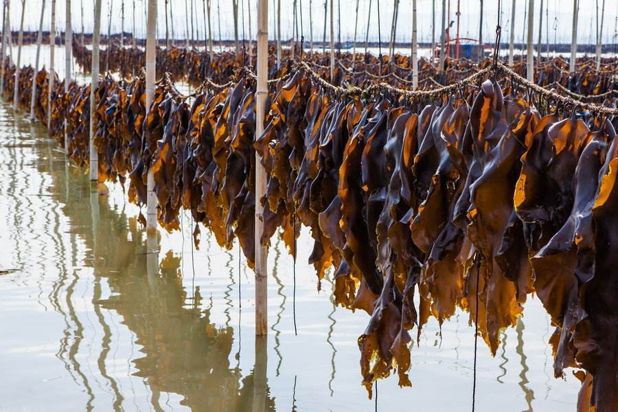 医生|医生提醒高血压别总吃药！多吃这5种食物，血压会远远离开