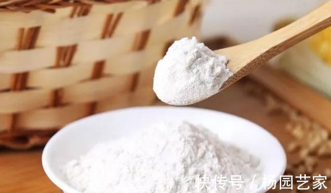 酵母粉|蒸馒头时用不用加碱面?有人不懂,难怪蒸出的馒头不好吃,味道差