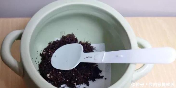 花盆里加点这个,不烂根不黄叶,轻松养满盆