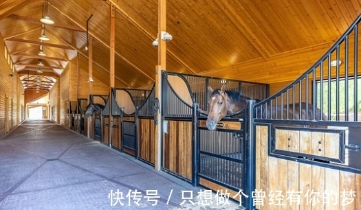 威尔逊|甲骨文创始人第三任妻子出售马术农场,报价1950万