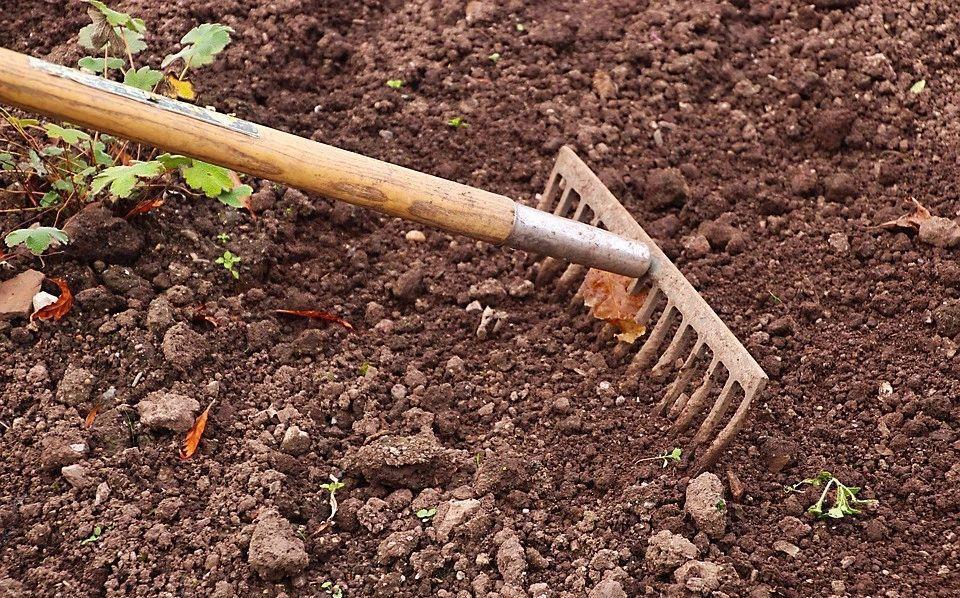 植物|阳台养花“6大错”,错了一个就黄叶,都占了就是“养花杀手”