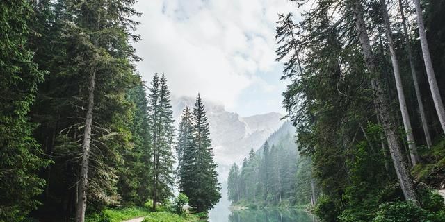 二氧化碳 地球的温度真的降不下来吗?其实有办法,传统方法或可胜过黑科技