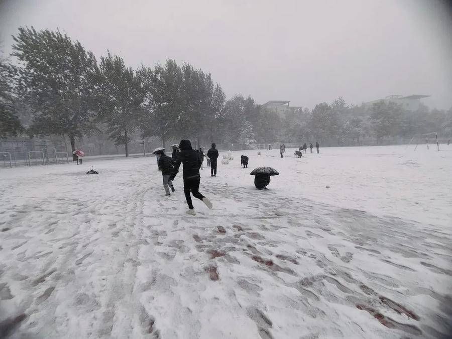 银装|雪中潍坊科技学院，更多了一份静谧之美