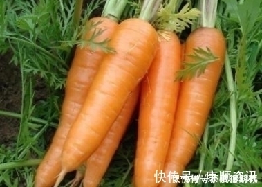 色斑|胡萝卜配此物一起煮,防三高,助睡眠,还淡色斑,孩子吃了也长个