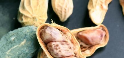 是真的吗|世界公认的最强致癌物,开水都灭不掉,很多人不重视洗洗还在吃!