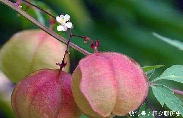 爷爷说|爷爷的告诫:人到五十,牢记这四句忠告,否则灾祸将至!