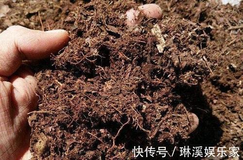 旧土|旧土留好别扔了，加点东西重新肥得流油，不板结养分高