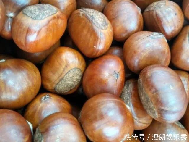 板栗|男性不要总吃韭菜,4物才是真的“肾黄金”,或肾脏更有活力