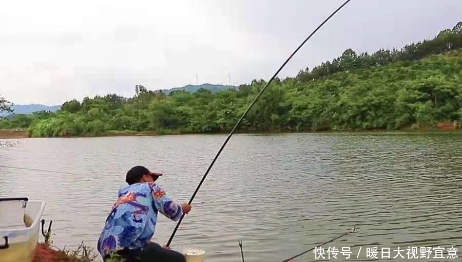 浮漂|谁料这鲢鳙鱼钓法，难度不大，效果却出奇的好！现在用刚刚好