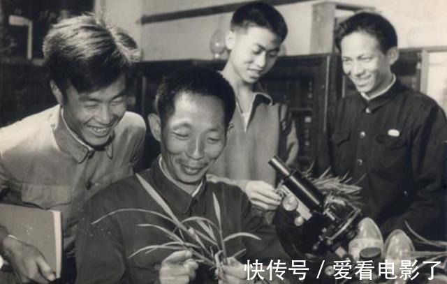 士兵突击&袁隆平书法他的书法质朴厚道,风骨遒劲透露书卷气!