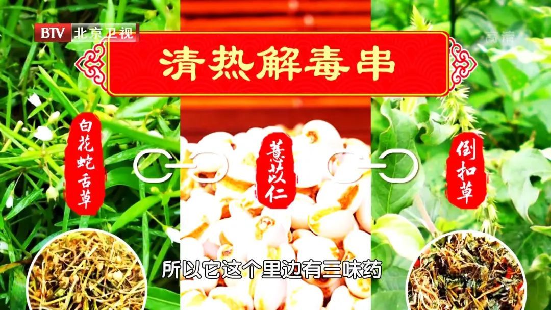 红小豆|舌边有浊沫，是体内有湿热了！简单几味药，清热利湿解毒，为肾脏减负担